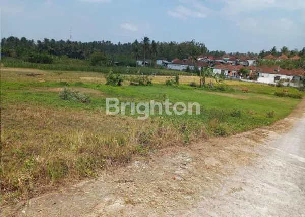 image TANAH KAVLING SIAP BANGUN DI TABANAN (2)