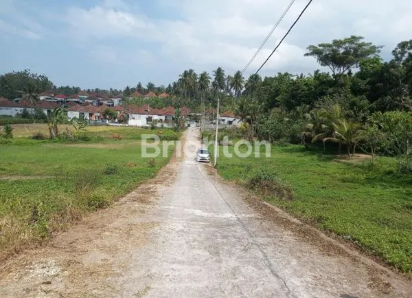 image TANAH KAVLING SIAP BANGUN DI TABANAN (6)