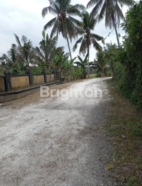image TANAH KAVLING SIAP BANGUN DI TABANAN (7)
