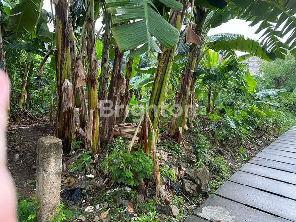 image TANAH KAVLING SIAP BANGUN LOKASI STRATEGIS AREA KOMPLEK PERUMAHAN DI PONDOK CABE (1)