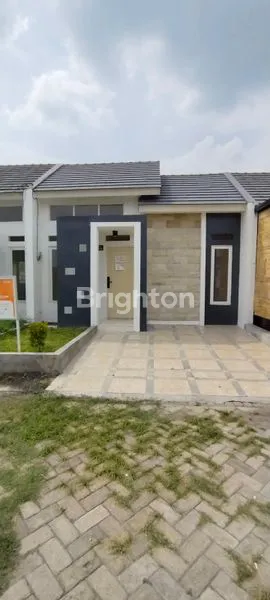 image VELVET LEGUNDI (1)