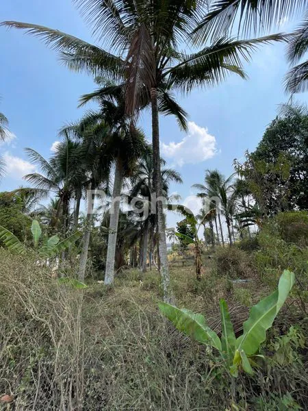 image TANAH LUAS DI DEKAT CIBURUY KABUPATEN BANDUNG BARAT (3)