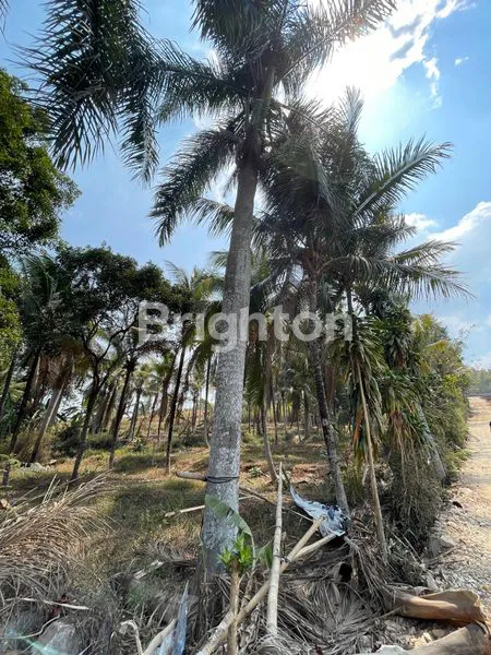 image TANAH LUAS DI DEKAT CIBURUY KABUPATEN BANDUNG BARAT (4)