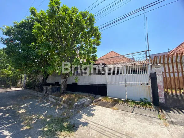 image KEMUNING KETABANG GENTENG SURABAYA (1)