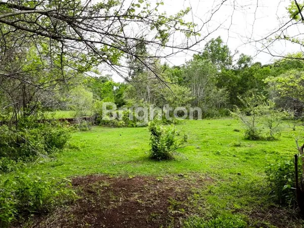 image TANAH DI PECATU, ULUWATU, BALI (1)