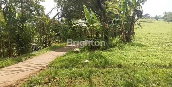 image TANAH DI NAGRAK, SUKABUMI (2)