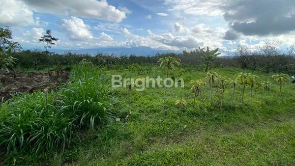 image TANAH MURAH DAERAH BUMI AJI KOTA BATU (3)