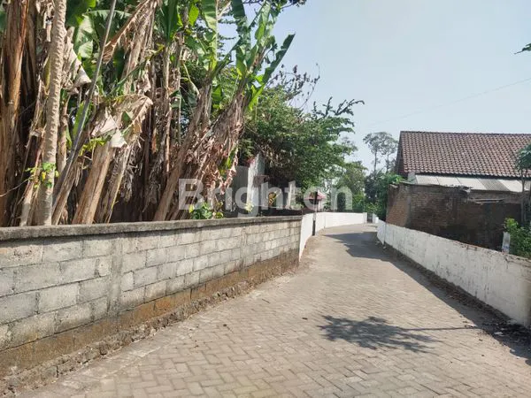 image RUMAH DENGAN LOKASI STRATEGIS (5)