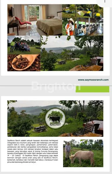 image RANCH DI BANDUNG BARAT MASIH BEROPERASI DENGAN LUAS 3,8HEKTAR. HARGA TURUN DARI 26M JADI 16M (1)
