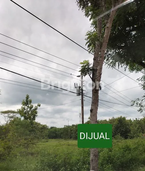 TANAH 30.750 M2 COCOK UNTUK PABRIK / INDUSTRI DI SRAGEN