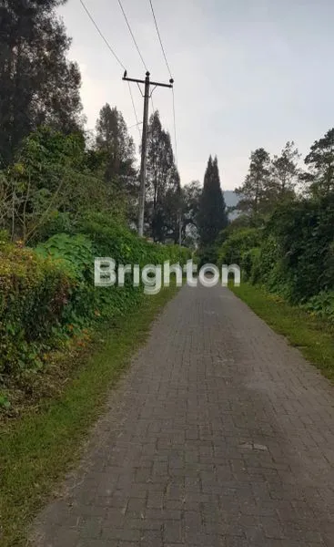 TANAH BRASTAGI DISAMPING MUTIARA HOTEL