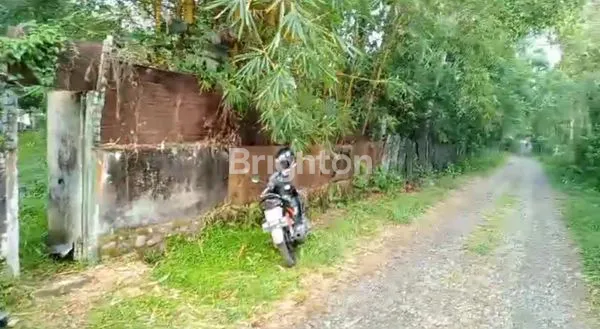 image TANAH KEBUN DI TANETE BULUKUMBA (3)