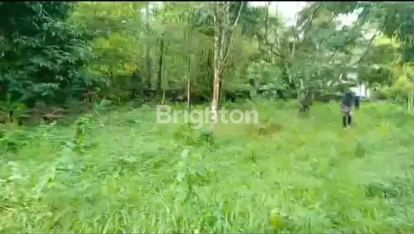 image TANAH KEBUN DI TANETE BULUKUMBA (6)