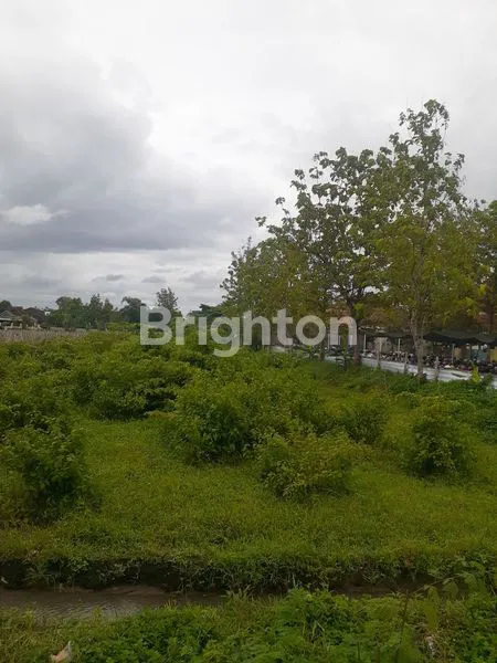 image TASIKMADU - TANAH PEKARANGAN DEKAT PABRIK GULA LOKASI STRATEGIS DI JALAN ALTERNATIF SOLO-TAWANGMANGU (1)