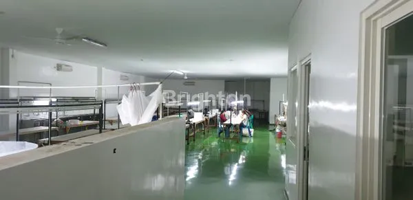 image PABRIK PENCUCIAN SARANG BURUNG WALET DI DAERAH MULYOREJO SUKUN MALANG (7)