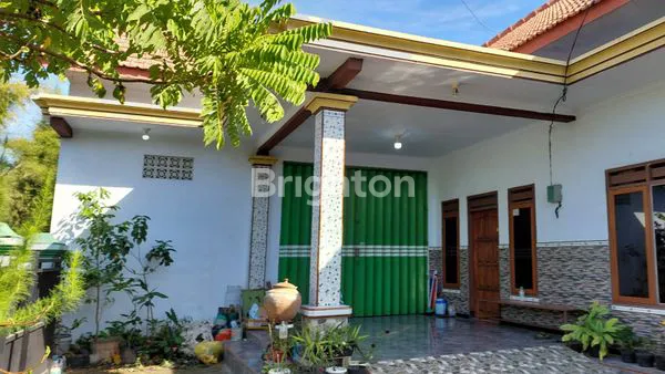 RUMAH DI BANGSALSARI