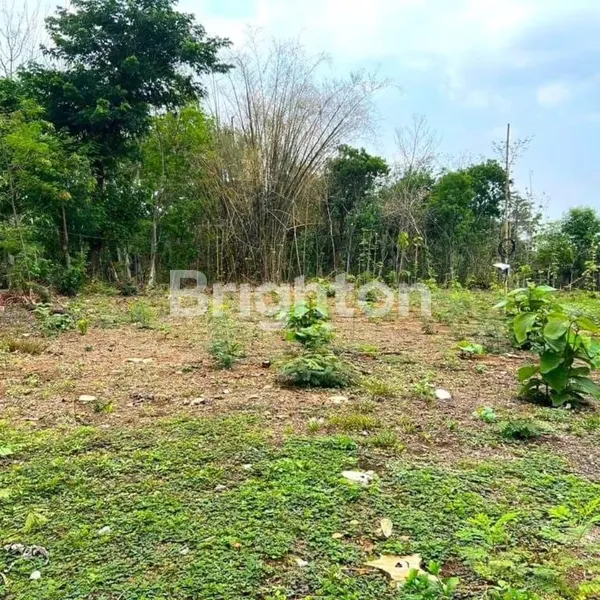 image TANAH DATAR TIMUR PASAR JAMBANGAN, MOJOGEDANG, KARANGANYAR (4)