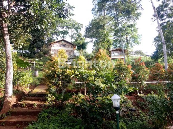 image RUMAH KEBON + PEMANCINGAN, LT 5.080M² (7)