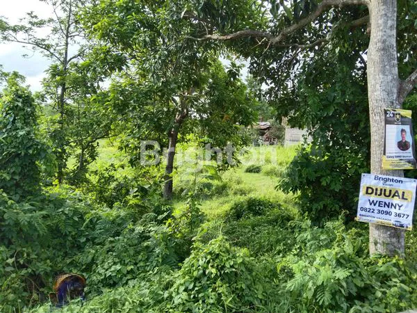 image VIEW GUNUNG MERAPI, AREA PERUMAHAN BALE MULIA, BALE WANGSA (3)