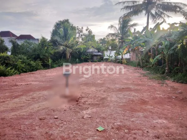 image TANAH MACAN KUMBANG  (2)