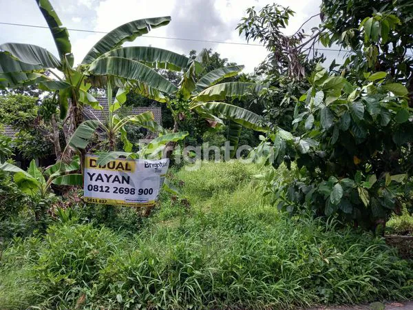 image TANAH PEKARANGAN LUAS 554 M2 , LD 12 DI TIRTOMARTANI, KALASAN, SLEMAN (1)