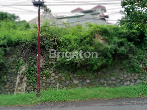 image CUAN DARI TANAH KOSONG (4)