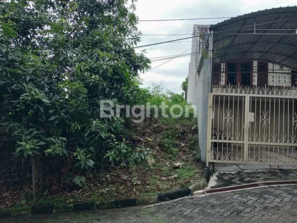 image CUAN DARI TANAH KOSONG (6)