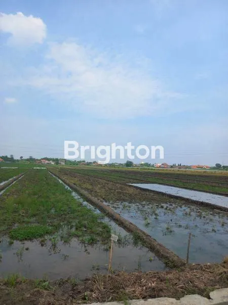 image TANAH LUAS  MURAH DI TENGAH KOTA KAB.BANDUNG BARAT (1)