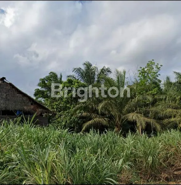 image TANAH MURAH STRATEGIS DI KELURAHAN MARIDAN PPU  (3)