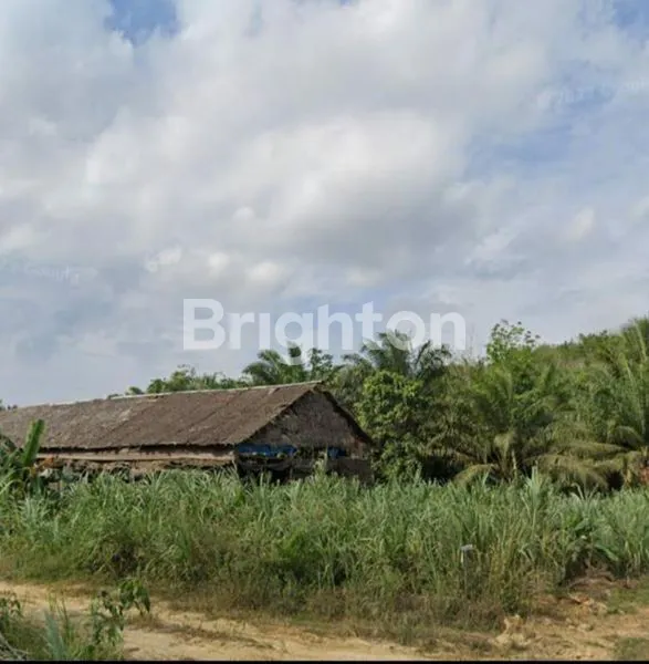 image TANAH MURAH STRATEGIS DI KELURAHAN MARIDAN PPU  (1)