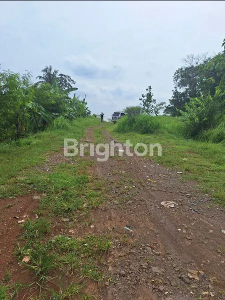 image JUAL TANAH STRATEGIS DEKAT UNES SEMARANG (3)