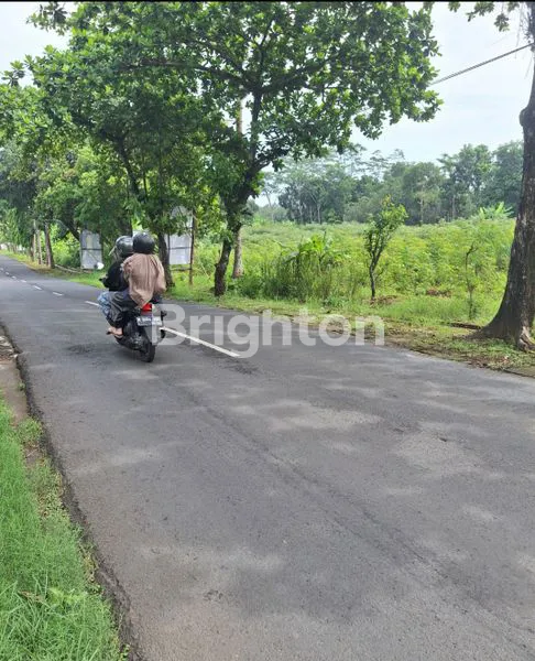 image JUAL TANAH STRATEGIS DEKAT UNES SEMARANG (4)