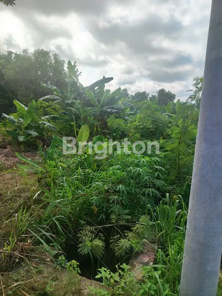 KAVLING PINGGIR JALAN. MURAH. DI BOTANIA2. BATAM CENTER