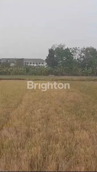 image BU , TANAH MURAH DI AREASOLO BARU (2)