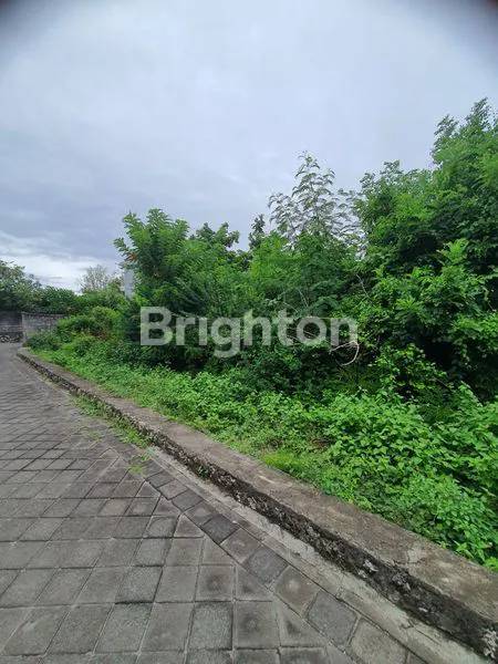 image TANAH DIJUAL CEPAT MURAH  (4)