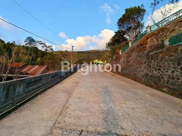 image TANAH DI KEBUN TEH KEMUNING (3)