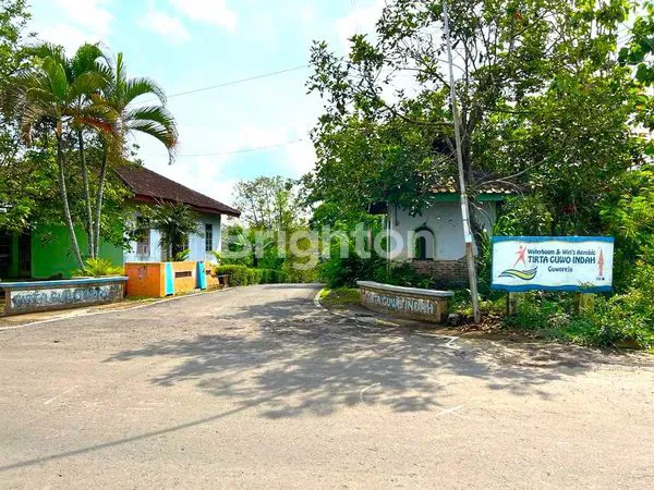 image KEBUN DURIAN KERJO KARANGANYAR (3)