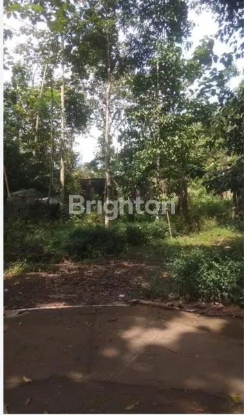 TANAH LUAS 4858 M2, PEKARANGAN, SHM, COCOK UNTUK KAVLING PERUMAHAN.