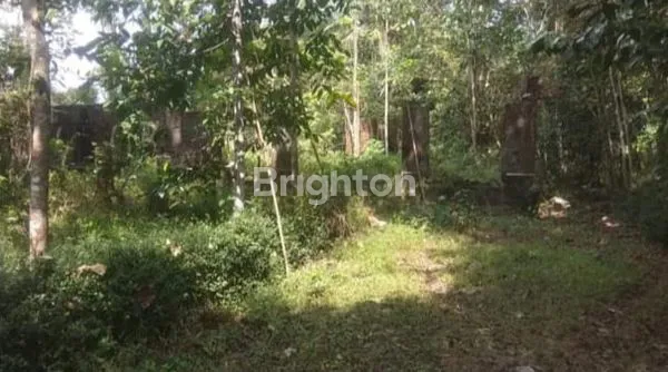 image TANAH LUAS 4858 M2, PEKARANGAN, SHM, COCOK UNTUK KAVLING PERUMAHAN. (3)