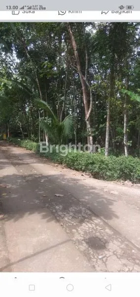 image TANAH LUAS 4858 M2, PEKARANGAN, SHM, COCOK UNTUK KAVLING PERUMAHAN. (4)