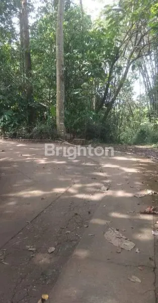 image TANAH LUAS 4858 M2, PEKARANGAN, SHM, COCOK UNTUK KAVLING PERUMAHAN. (6)