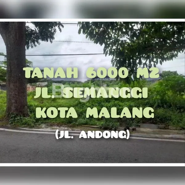 TANAH LUAS DI TENGAH KOTA MALANG