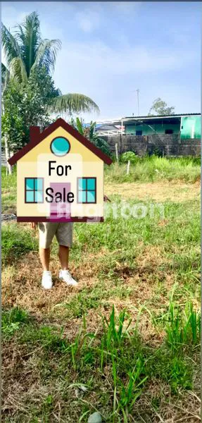 image TANAH HOOK SIAP PAKAI (2)