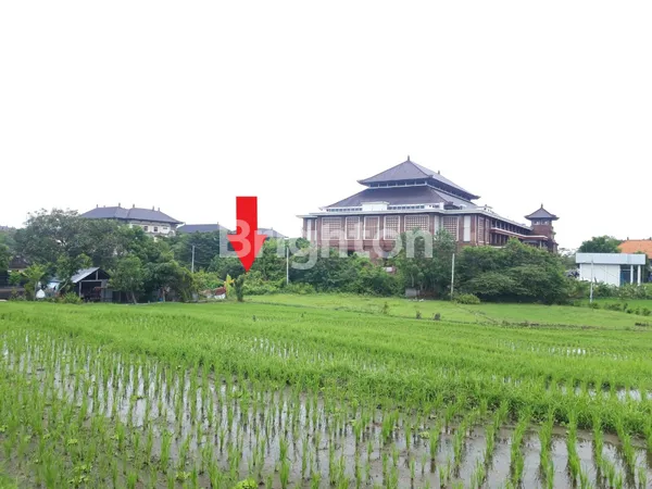 image TANAH KOSONG DEKAT PUSPEM BADUNG (HARGA NEGO) (2)