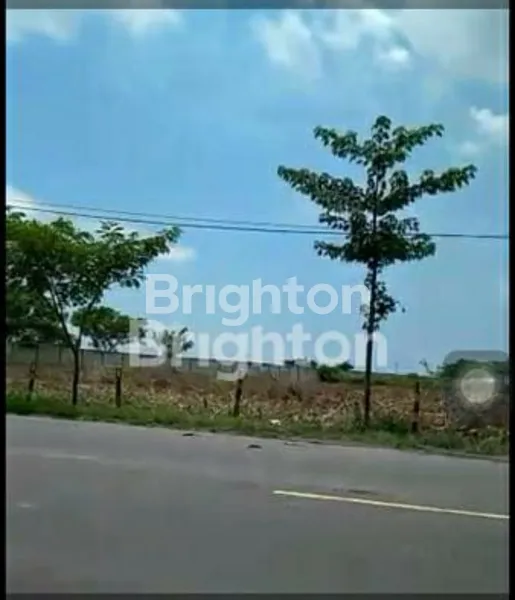 image TANAH DI ZONA INDUSTRI DAERAH TUBAN KEC WIDANG NOL JALAN RAYA PROPINSI (1)