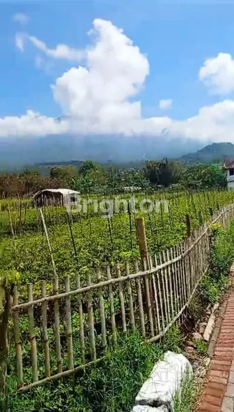 image DIJUAL TANAH DI JL DIPONEGORO TULUNGREJO BUMIAJI KOTA BATU (1)
