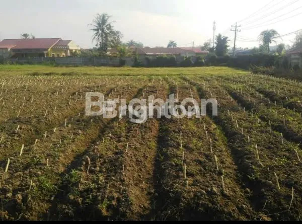 TANAH UNTUK PABRIK / PERGUDANGAN