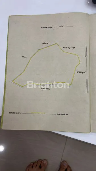 image TANAH LAHAN KELAPA SAWIT DI MELIAU KALBAR (8)