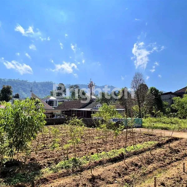 image TANAH BONUS RUMAH KEBUN TEH KEMUNING (1)