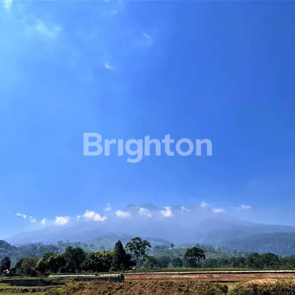 image TANAH BONUS RUMAH KEBUN TEH KEMUNING (5)